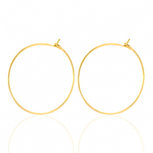 RVS Oorringen 20mm goud