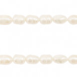 Zoetwater parel rice 8x6mm