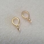 DQ Hanger met oog goudplated 