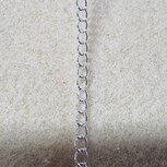 RVS Jasseron silverplated 3x4mm