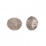 Sparkling beads rondel grey 6mm