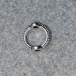 Gesloten ring 6mm met 2 rijggaten