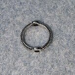 Gesloten ring 8mm met 2 rijggaten