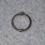 Gesloten ring 10mm met 2 rijggaten