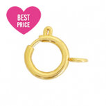 RVS boeislot goud met oogjes 10x12mm