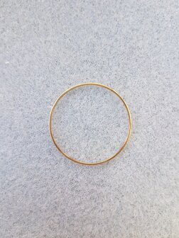 Ronde ring 30x0,7mm goud