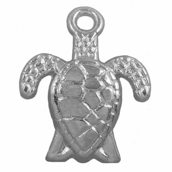 Bedel schildpad zilver