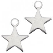 DQ Bedel ster antiek zilver