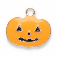 Bedel pompoen orange gold