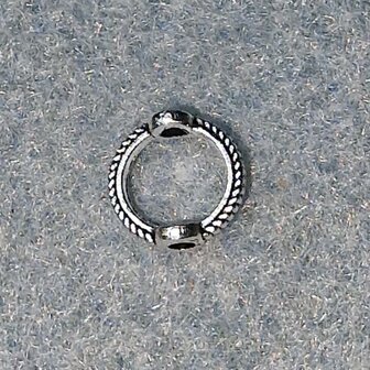Gesloten ring 6mm met 2 rijggaten