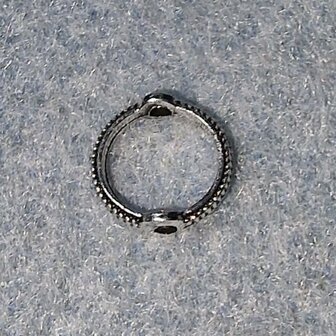 Gesloten ring 8mm met 2 rijggaten