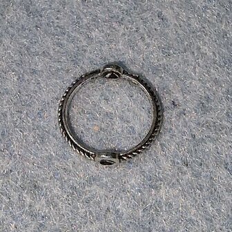 Gesloten ring 10mm met 2 rijggaten